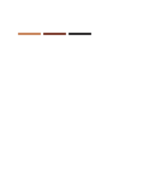 Boston bag